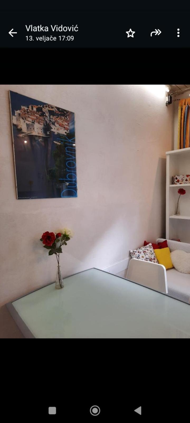 Apartment Youth Vita 萨格勒布 外观 照片